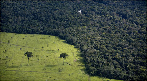 A devastated area of forest used for cattle in March in Brazil. A government plan introduced targets for reducing deforestation and carbon dioxide emissions