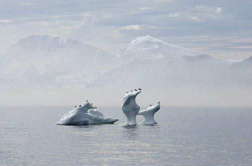 the Ilulissat icefjord has been declared a World Heritage site