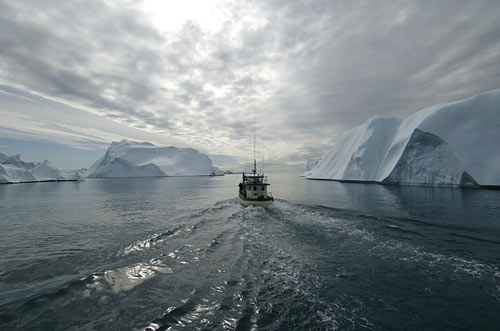 Sermeq Kujalleq glacier surrenders around 20 billion tons of icebergs into the ocean every year