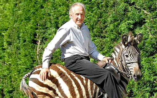 horse racing trainer Bill Turner learned to ride Zebedee in just two weeks