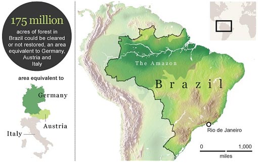 175 acres of forest in Brazil could be cleared but not restored, an area equivalent to Germany, Austria and Italy