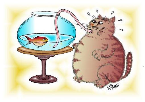 cartoon: fish and fat cat