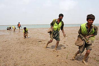 ’It is good to see a productive competition between Pakistan and India. We hope that tree planting competitions will become as popular as cricket matches.’