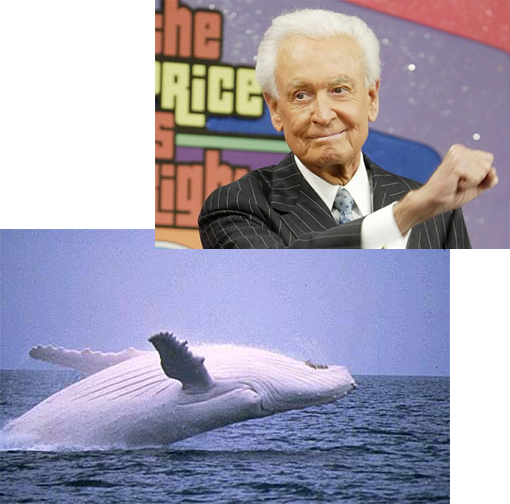 TV's Price is Right icon Bob Barker is out to save more animals. Forget zoo elephants, now Barker's showering his protective funds over marine life. Whales. Blowing kisses to the camera, Bob Barker signed off on 35 years on ‘The Price Is Right’ and 50 years in daytime TV in the same low-key, genial fashion that made him one of daytime TV’s biggest stars.