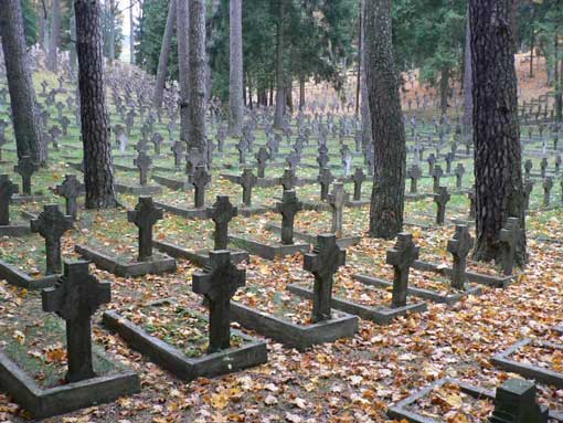 the Antakalnis cemetery in Vilnius