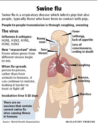 Swine flu is a respiratory disease which infects pigs but also people, typically those who have been in contact with pigs. People-to-people transmission is through coughing, sneezing.