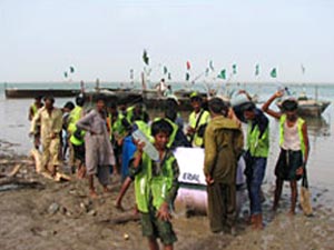 the trees were planted in a swampy mangrove region