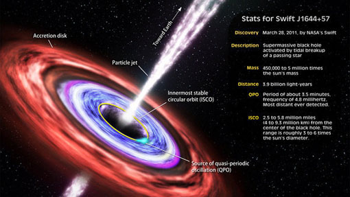 wandering star captured by a supermassive black hole emitted a 