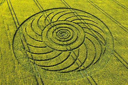 Crop circles, in 1678: Mow'd by Infernal Spirit? No Mortal Man's able ...