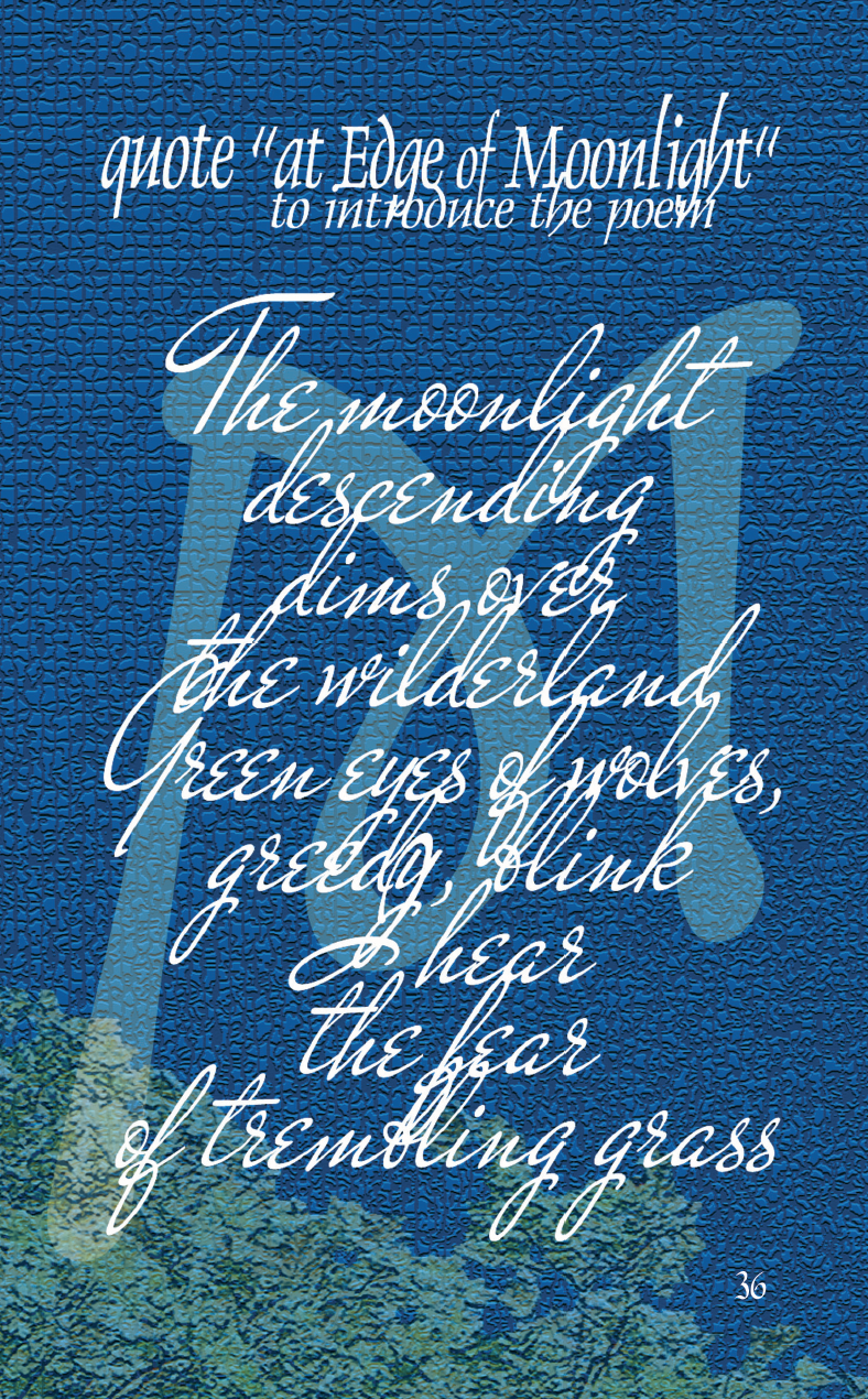 "At Edge of Moonlight" poem quote from p36 of "Spirit Speed" by LuCxeed