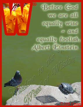Before God we are all equally wise - and equally foolish. - Albert Einstein
